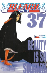 Bleach 37 - sken obálky